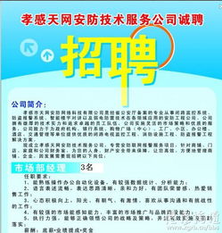 孝感天網安防技術服務公司誠聘技術服務精英